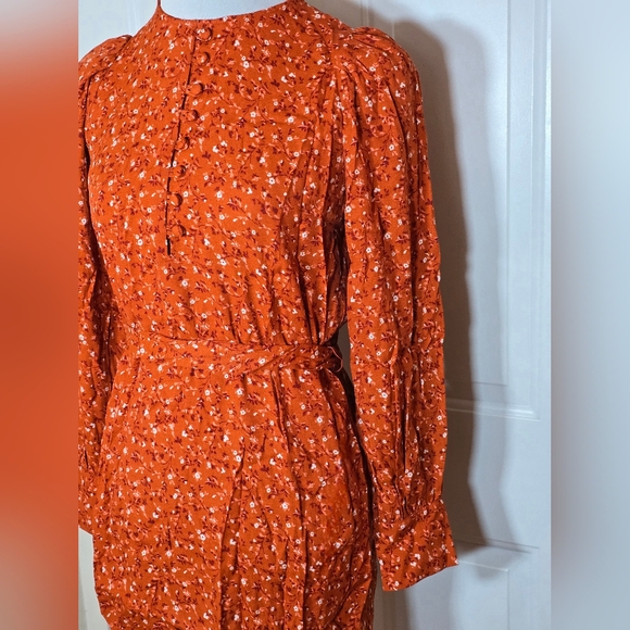 Reformation Carinna Balsam Rust Floral Long Sleeve Dress - Picture 7 of 12